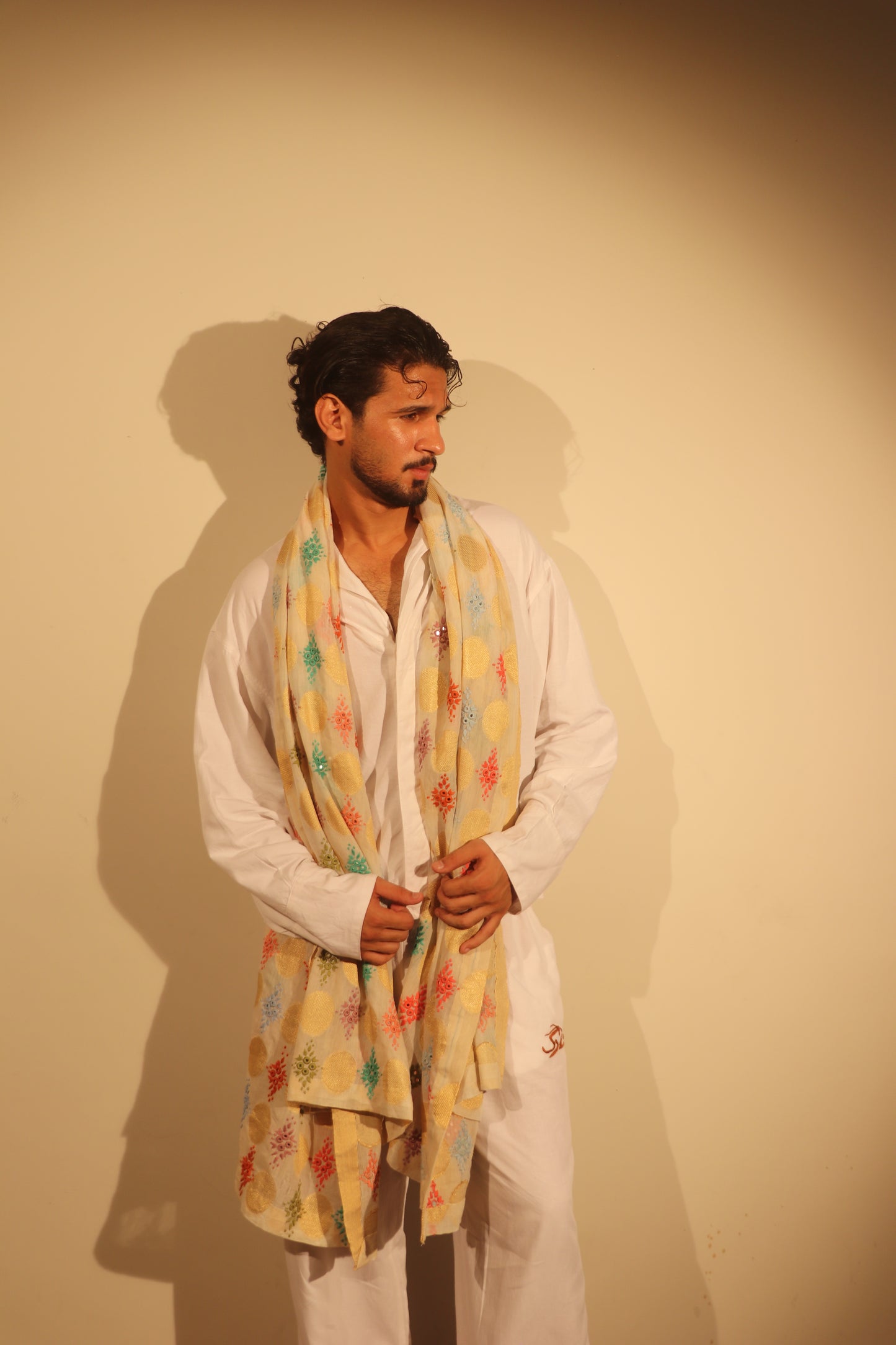 Ivory & Gold Multi-Color Geometric Embroidered Stole